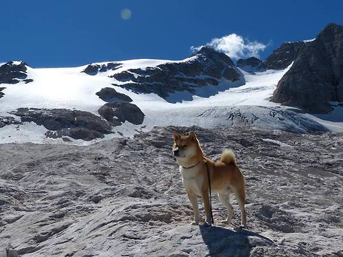 开云体育官网登入-NBA球队教练更替对战术体系稳定性的影响，nba教练组成员