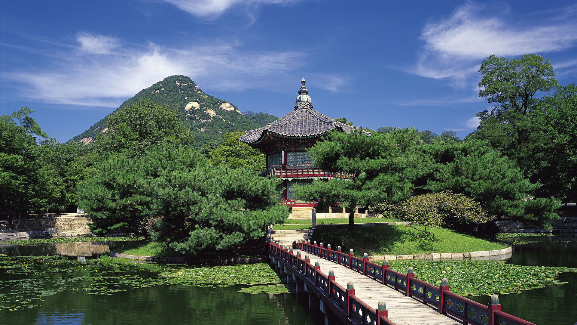 校园体育场馆智能维护及节能管理研究，学校体育场馆运营管理方案