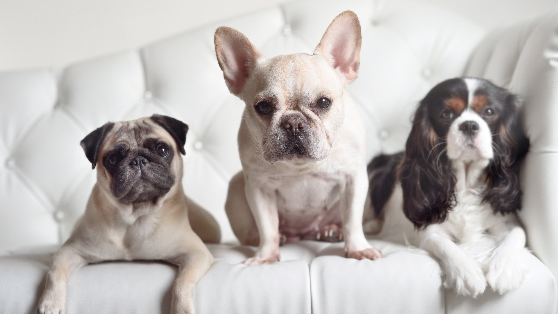 开云体育官网app-国家队锋线配置忽视多维打法储备，国家队最强锋线