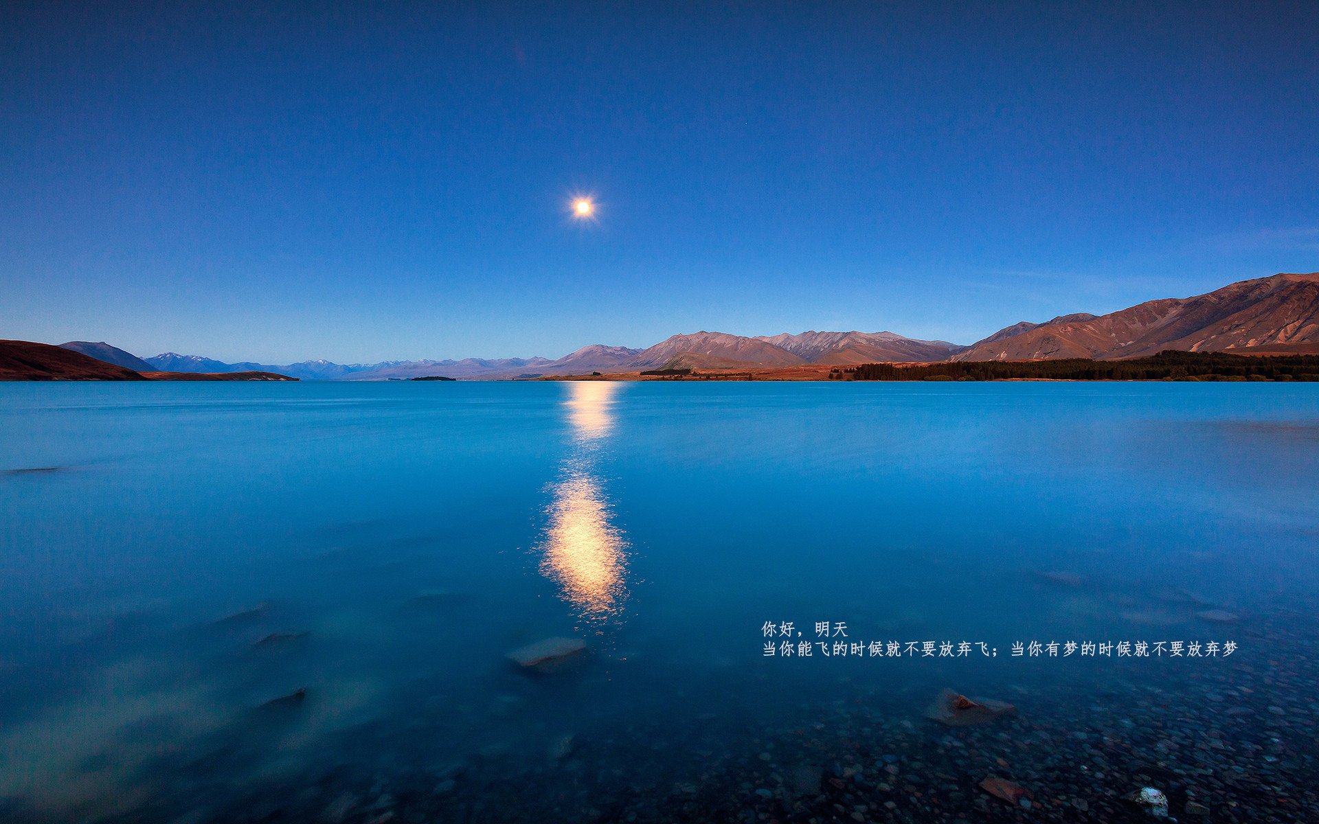 场上决策最果断的球员心理特征，场上决策最果断的球员心理特征包括