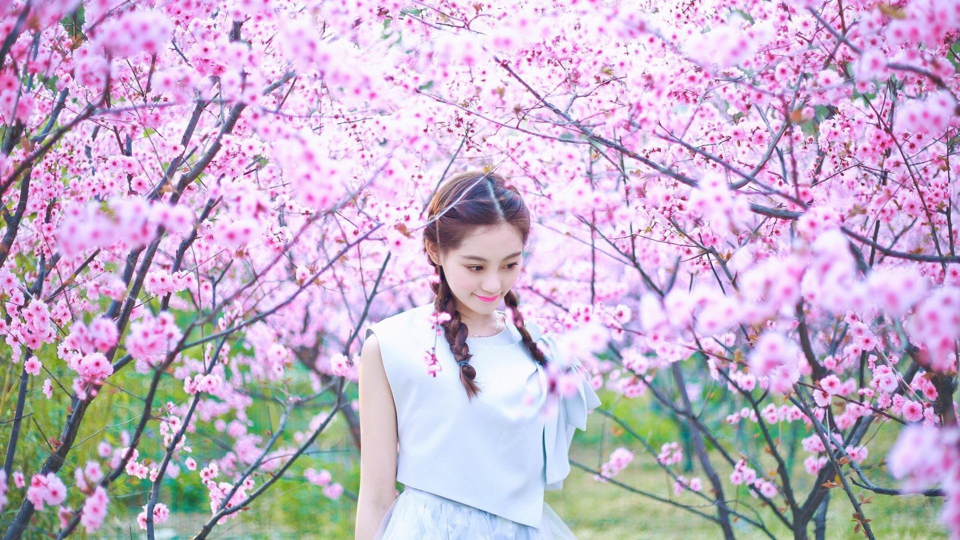 球迷期待海湾者创造冷门奇迹,海湾旅行者