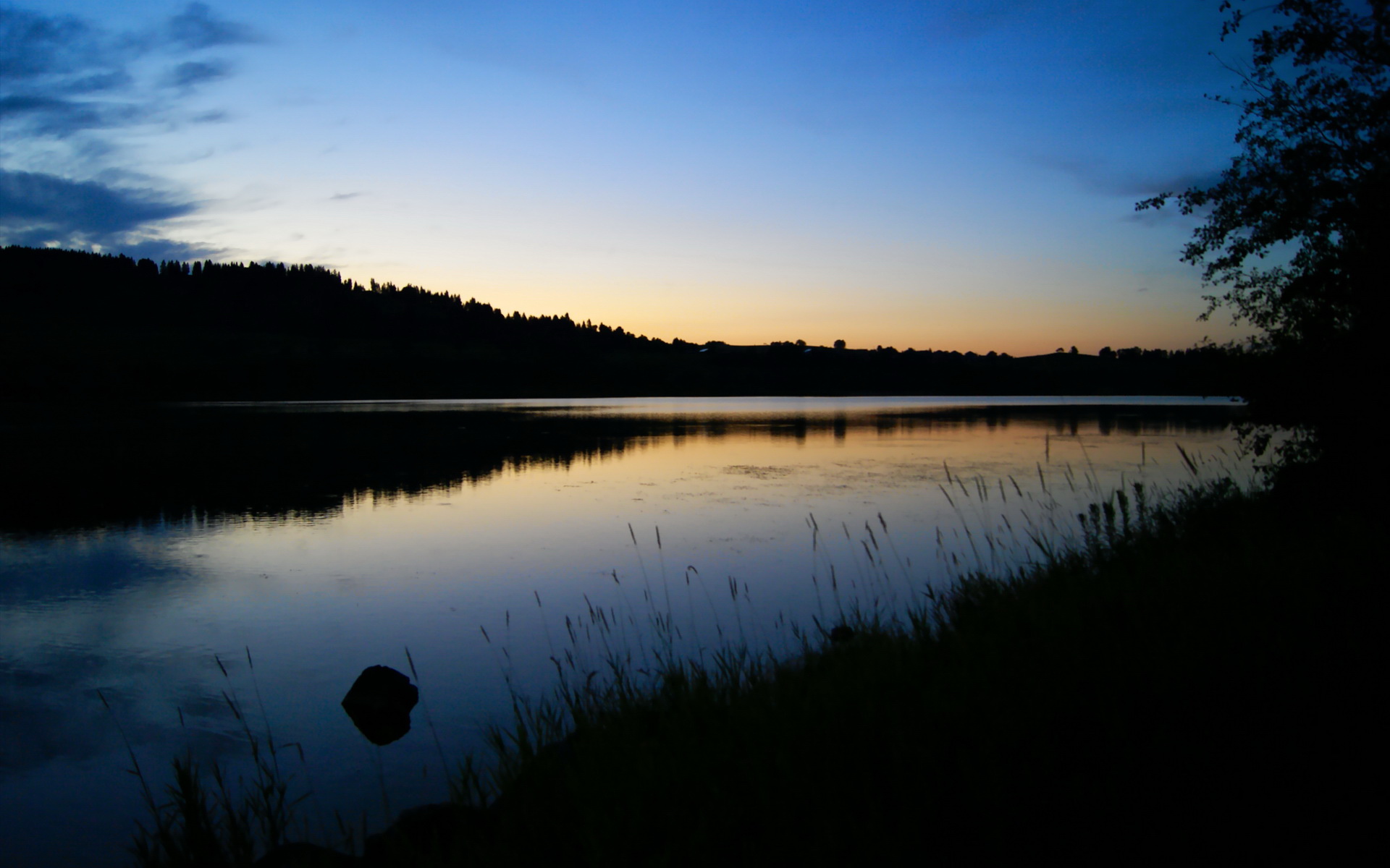 “美洲狮队的强势表现标志着阿根廷橄榄球的崭新起点”