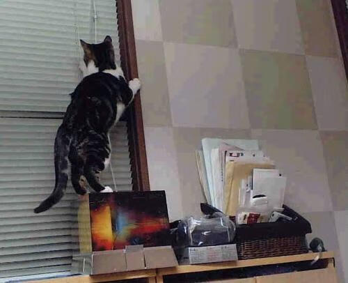 CBA是否鼓励俱乐部联合打造联赛年度纪实内容,cba联盟规章制度