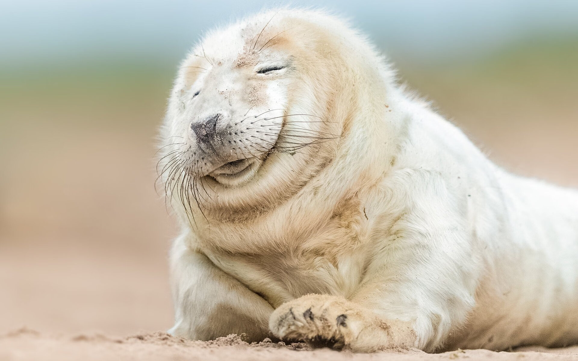 开云体育在线-体育品牌年度价值榜单发布中国企业表现亮眼，2020体育品牌市场份额