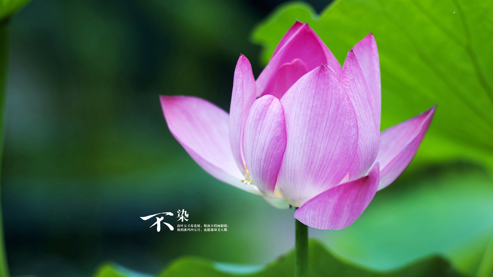 体育经纪公司对中国篮球生态的影响,体育经纪公司是做什么的